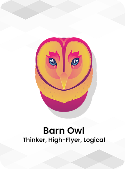 Barn Owl