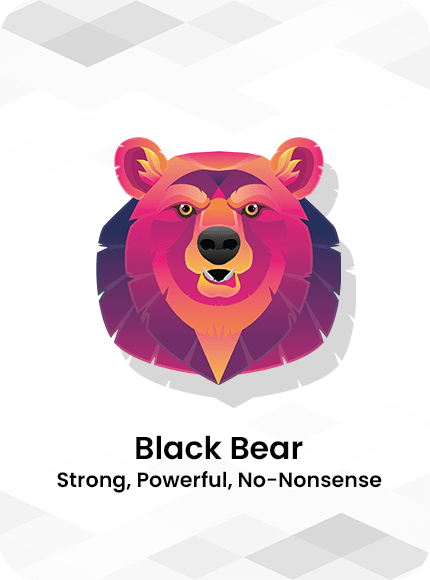 Black Bear