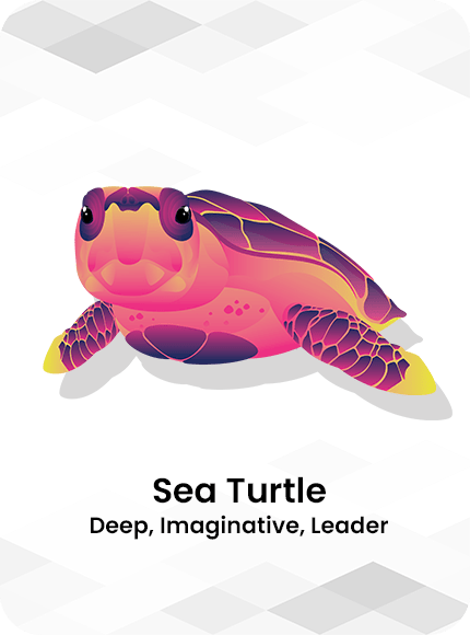 Sea Turtle