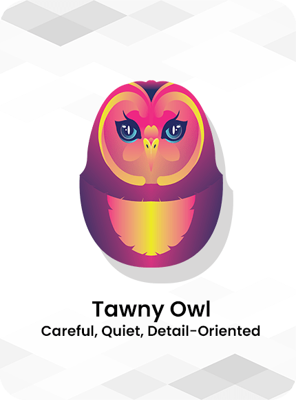 Tawny Owl